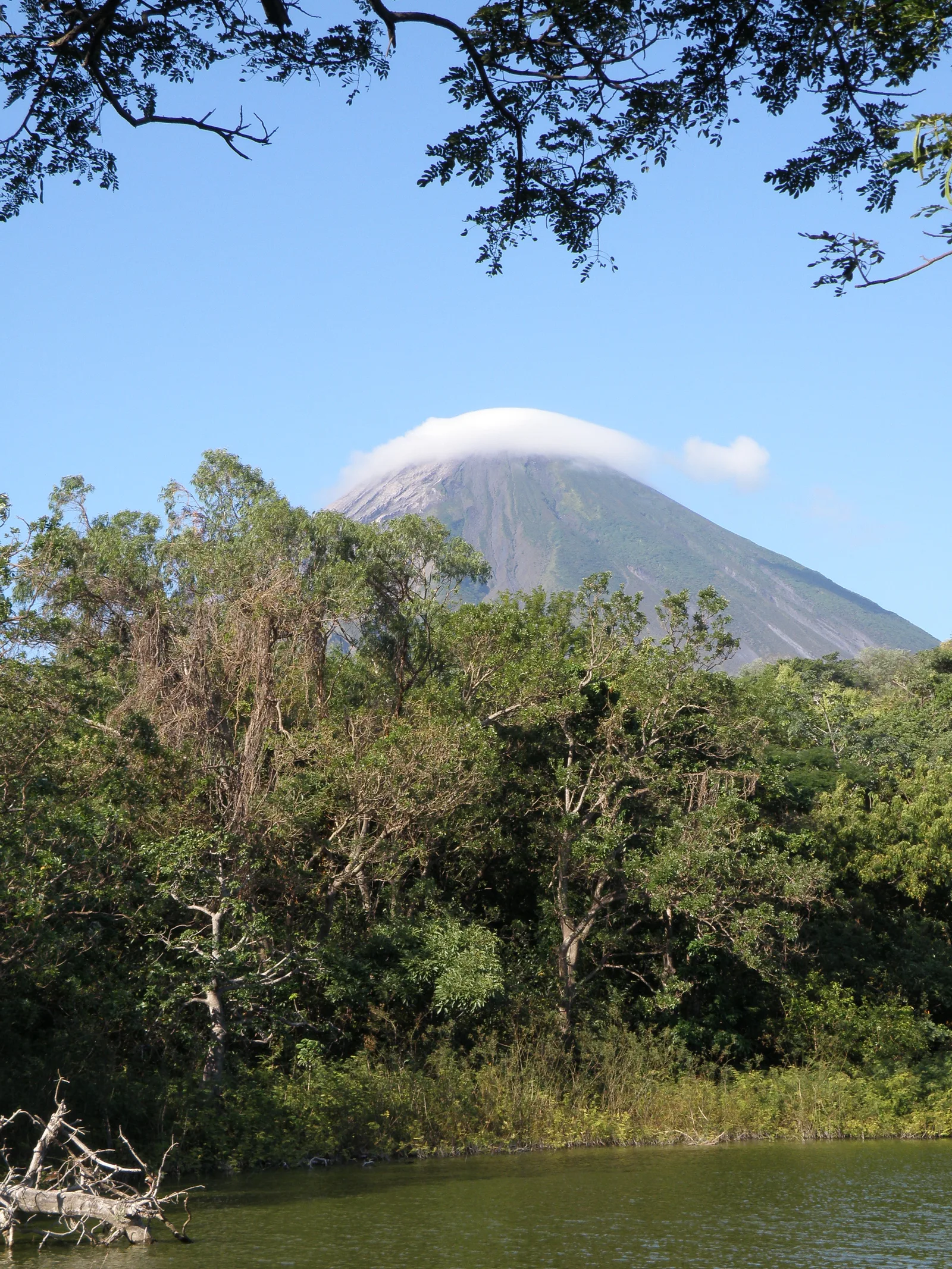 Concepción volcano beyond the lagoon and trees at Charco Verde