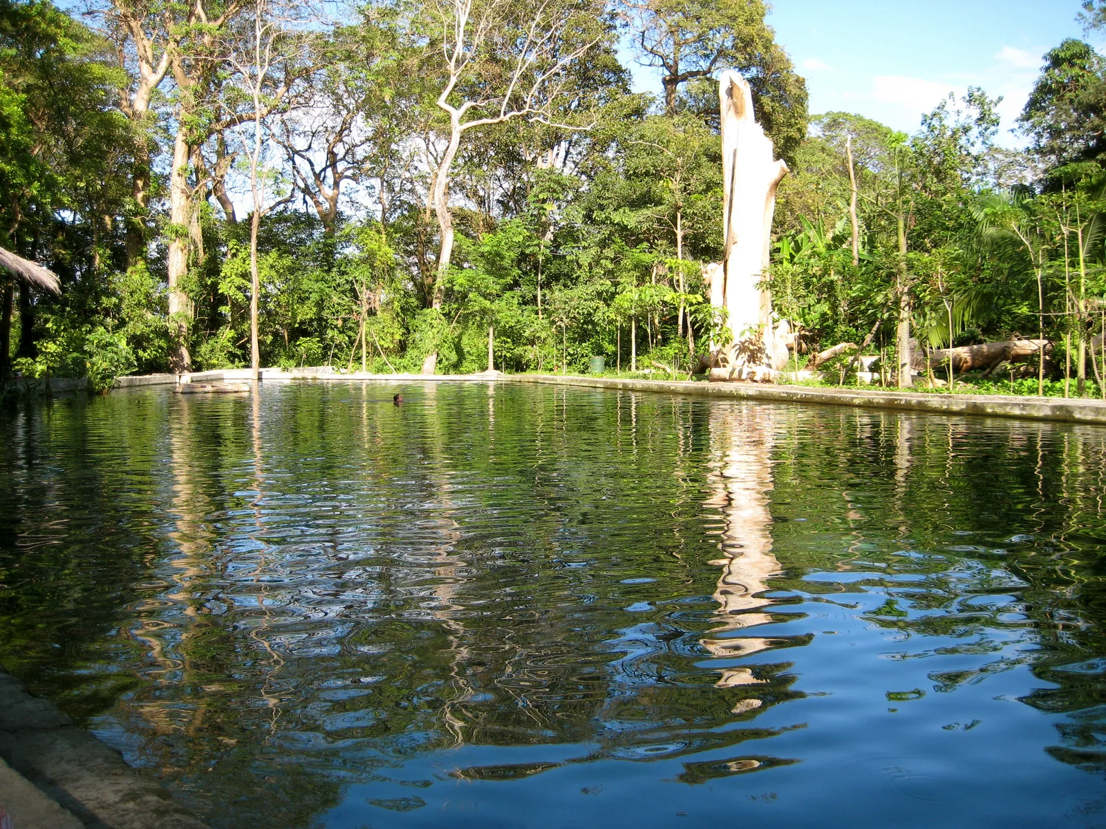The spring-fed swimming pool at Ojo de Agua on Ometepe