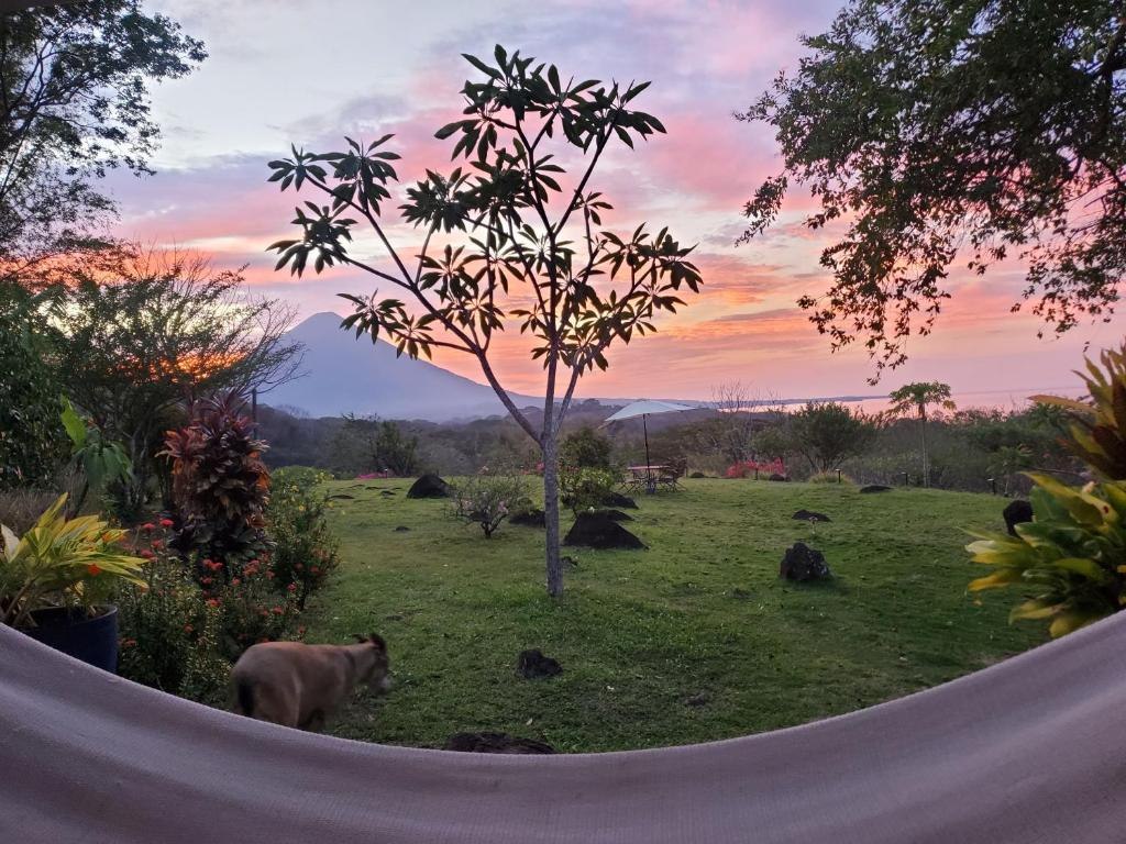 Sunset over the garden and countryside at Ananda Guesthouse, Ometepe