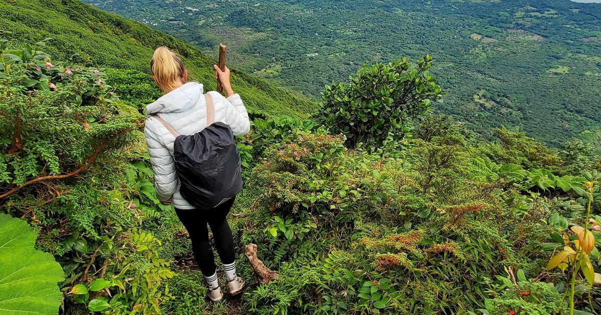 Hiker on a green trail in the Concepción tour gallery