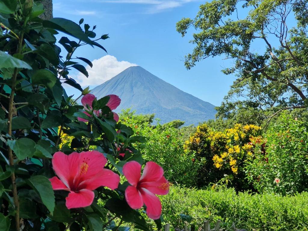 Volcano view above flowering gardens at El Encanto Garden Hotel