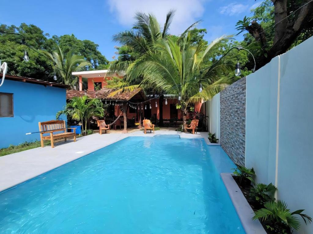 Swimming pool and palm garden at Ometepe House, Moyogalpa
