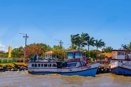 Lake boats in the Granada to San Jorge transfer gallery